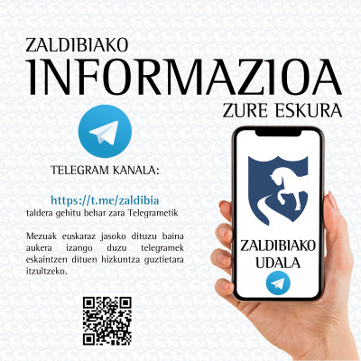 ZALDIBIAINFO-TELEGRAM.jpg