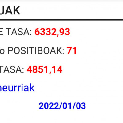 datuak20210103.jpg